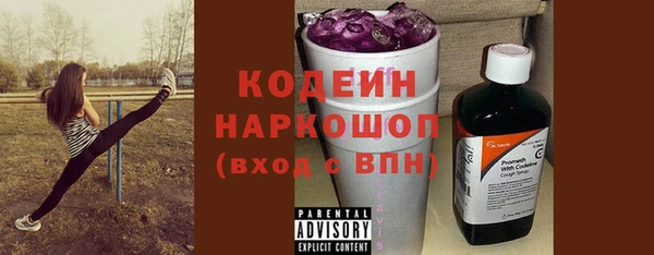 гидра Бородино