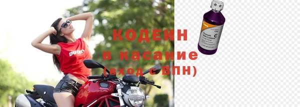 молекула духа Бронницы