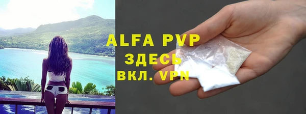 гидра Бородино