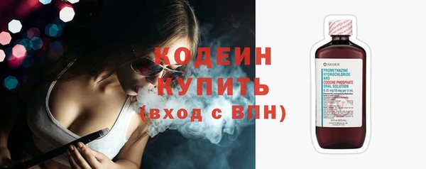 гидра Бородино