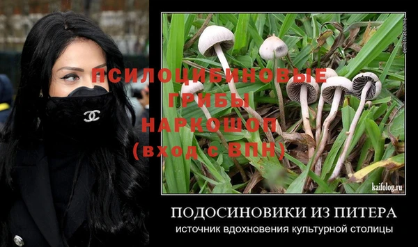 молекула духа Бронницы
