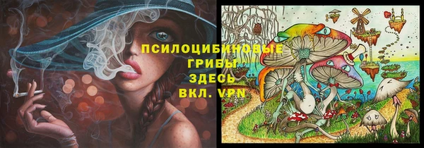молекула духа Бронницы