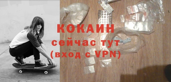 гидра Бородино
